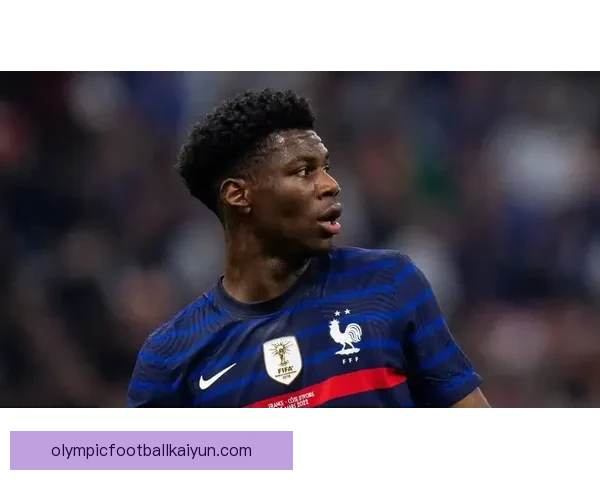 楚阿梅尼抢断特点：防守覆盖广、预判精准、对抗能力强